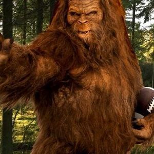 Meet your Posher, Richard